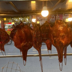Hình 6